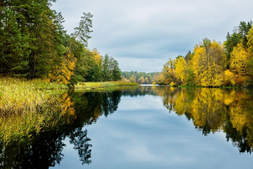 Wdecki Landscape Park, photo Tomasz Czachorowski/eventphoto.com.pl for UMWKP Wdecki Landscape Park, photo Tomasz Czachorowski/eventphoto.com.pl for UMWKP