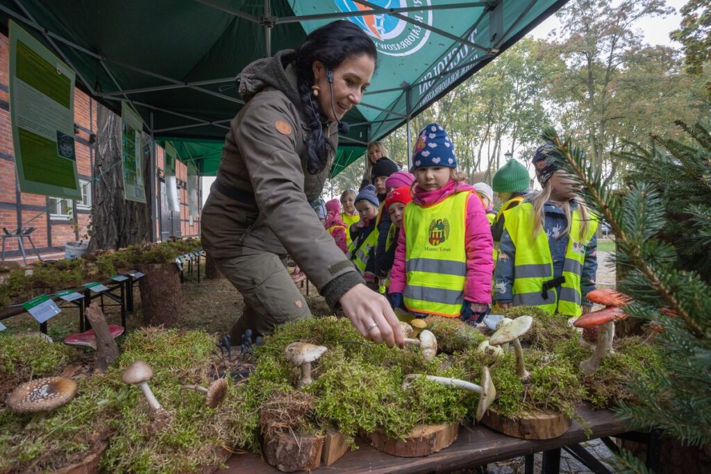 Mushroom exhibition, Tuchola Landscape Park, photo by Mikołaj Kuras for UMWKP