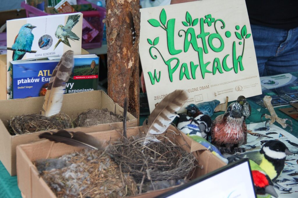 Piknik „Lato w parkach”, fot. Górznieńsko-Lidzbarski Park Krajobrazowy