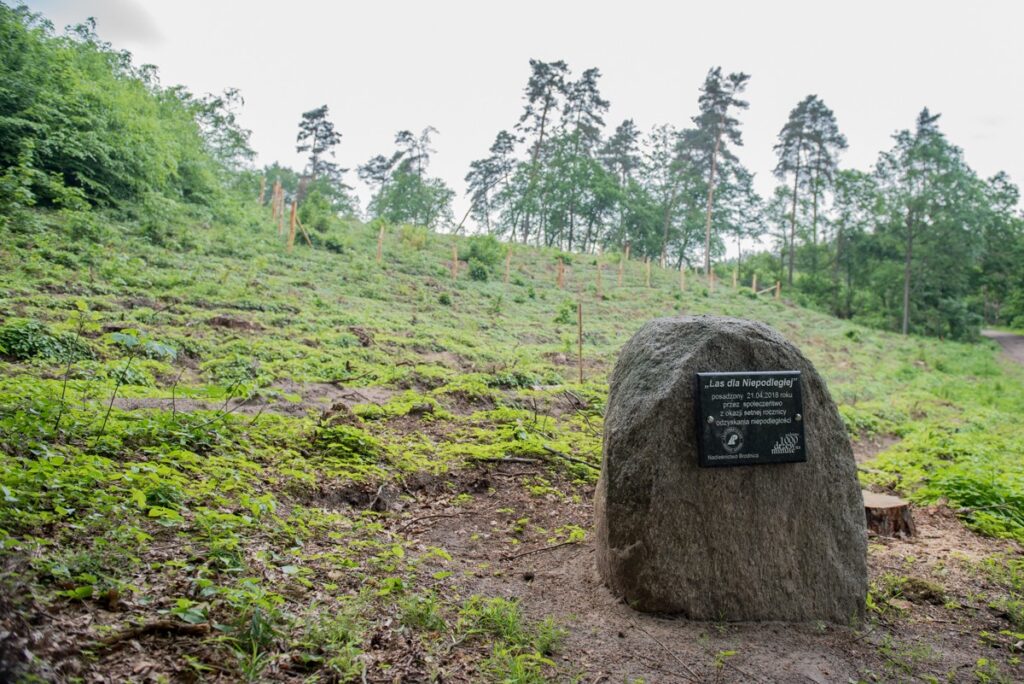 Brodnicki Park Krajobrazowy, fot. Łukasz Piecyk dla UMWKP