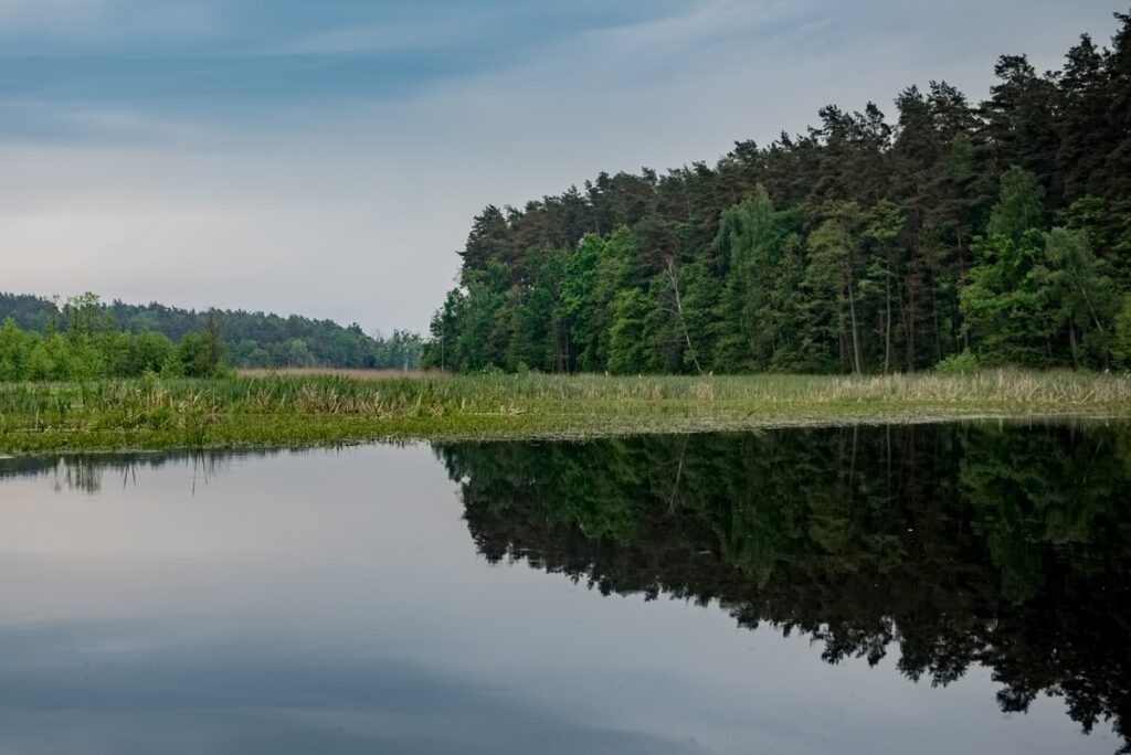 Brodnicki Park Krajobrazowy, fot. Łukasz Piecyk dla UMWKP