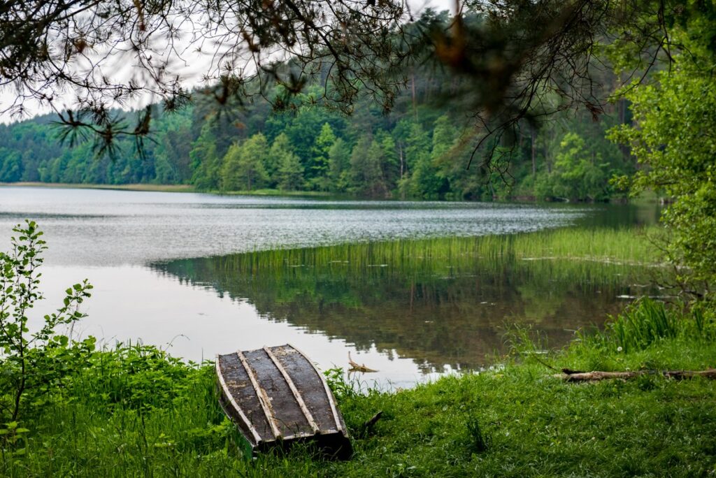 Brodnicki Park Krajobrazowy, fot. Łukasz Piecyk dla UMWKP
