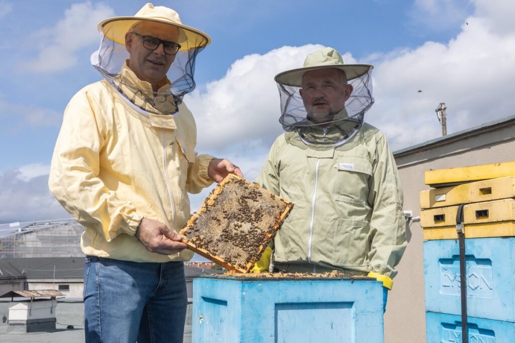 Honey harvest on the roof of the Marshal's Office, photo by Mikołaj Kuras for UMWKP