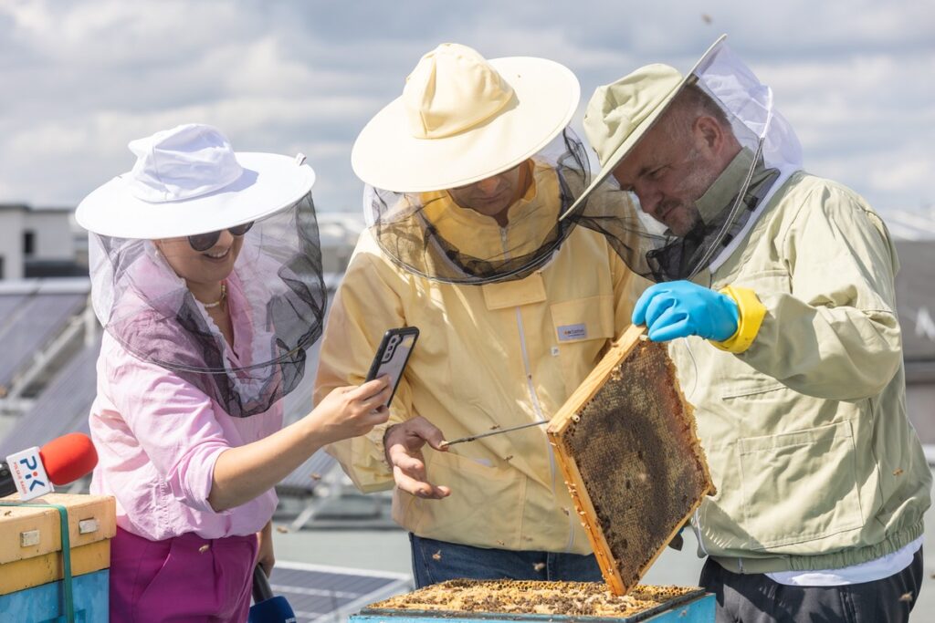 Honey harvest on the roof of the Marshal's Office, photo by Mikołaj Kuras for UMWKP