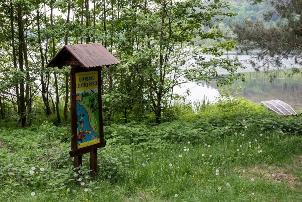 BRODNICKI LANDSCAPE PARK, photo by Łukasz Piecyk for UMWKP