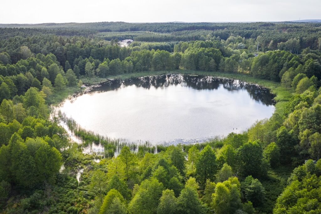 Gostynińsko-Włocławski Landscape Park, fot. Mikołaj Kuras for UMWKP