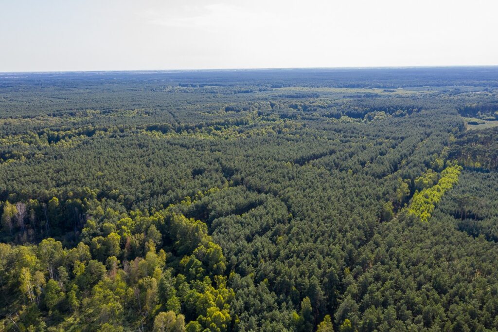 Gostynińsko-Włocławski Landscape Park, fot. Mikołaj Kuras for UMWKP