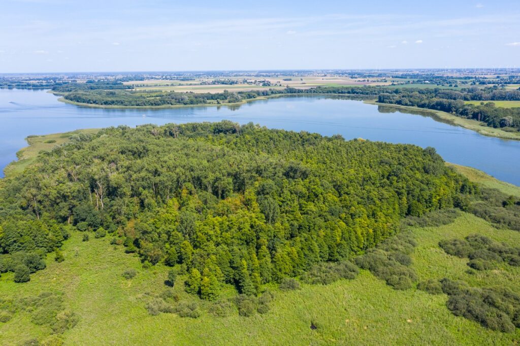 Nadgoplański Park Tysiąclecia, Fot. Mikołaj Kuras dla UMWKP