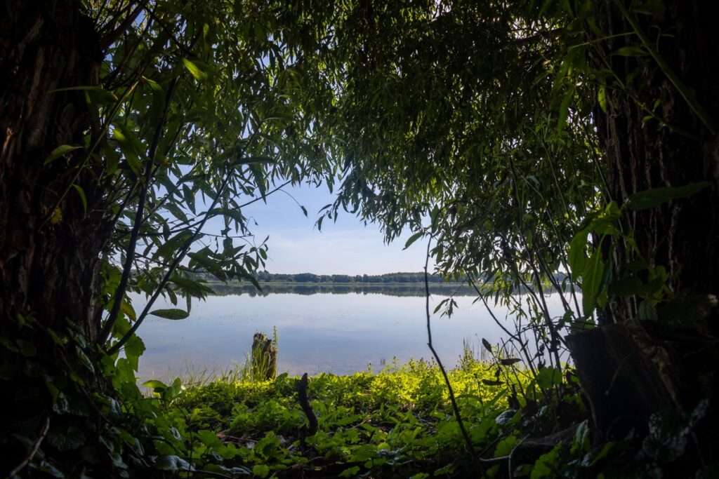 Nadgoplański Park Tysiąclecia, Fot. Mikołaj Kuras dla UMWKP