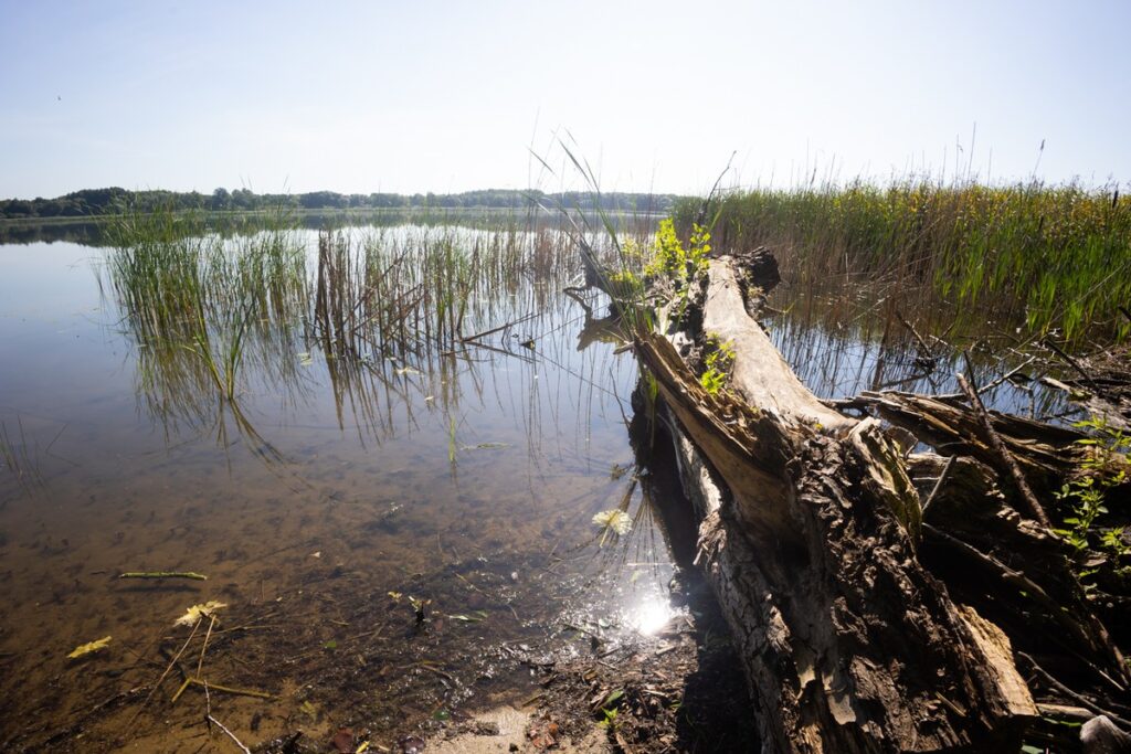 Nadgoplański Park Tysiąclecia, Fot. Mikołaj Kuras dla UMWKP