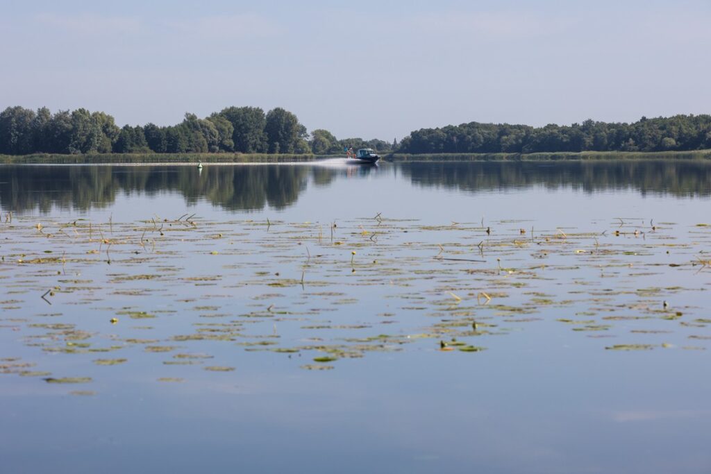 Nadgoplański Park Tysiąclecia, Fot. Mikołaj Kuras dla UMWKP