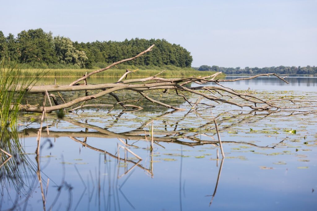 Nadgoplański Park Tysiąclecia, Fot. Mikołaj Kuras dla UMWKP