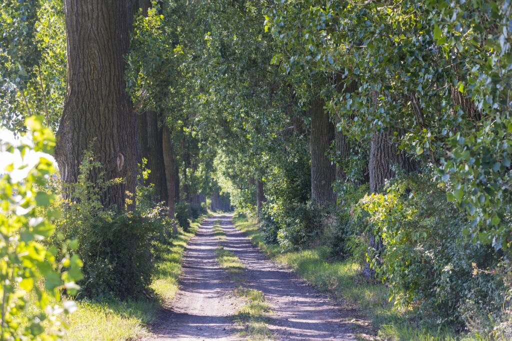 Nadgoplański Park Tysiąclecia, Fot. Mikołaj Kuras dla UMWKP