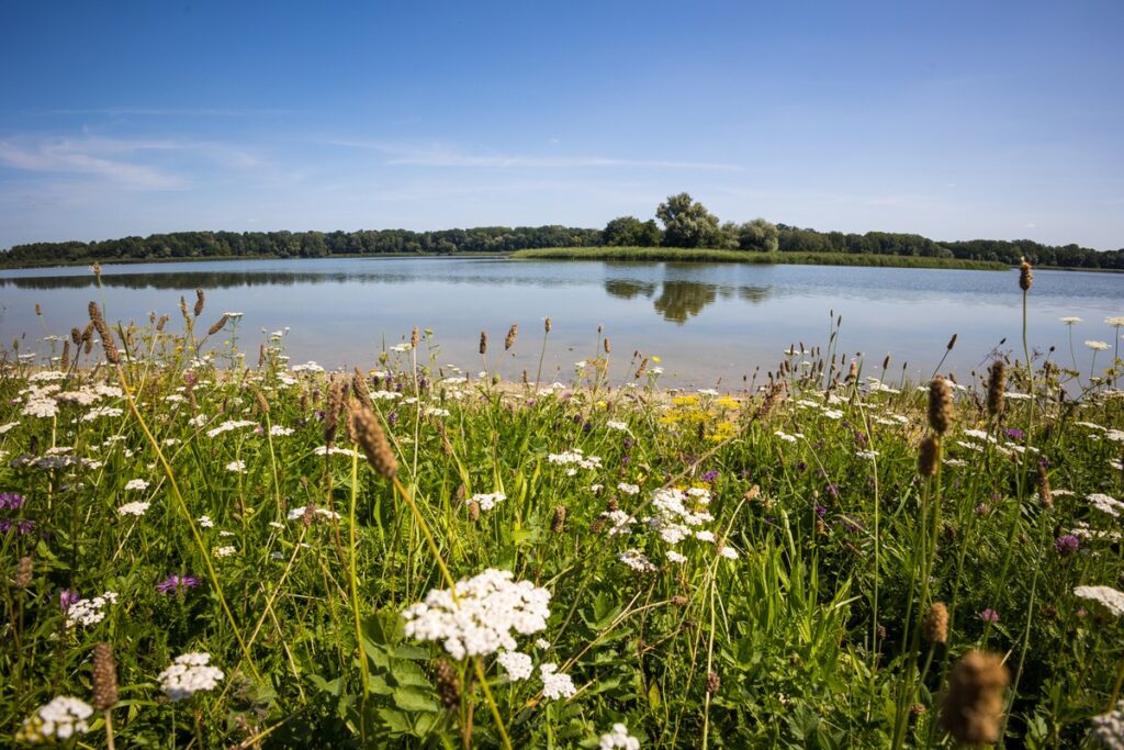Nadgoplański Park Tysiąclecia, Fot. Mikołaj Kuras dla UMWKP