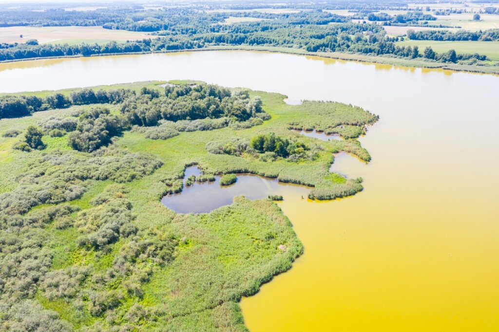 Nadgoplański Park Tysiąclecia, Fot. Mikołaj Kuras dla UMWKP