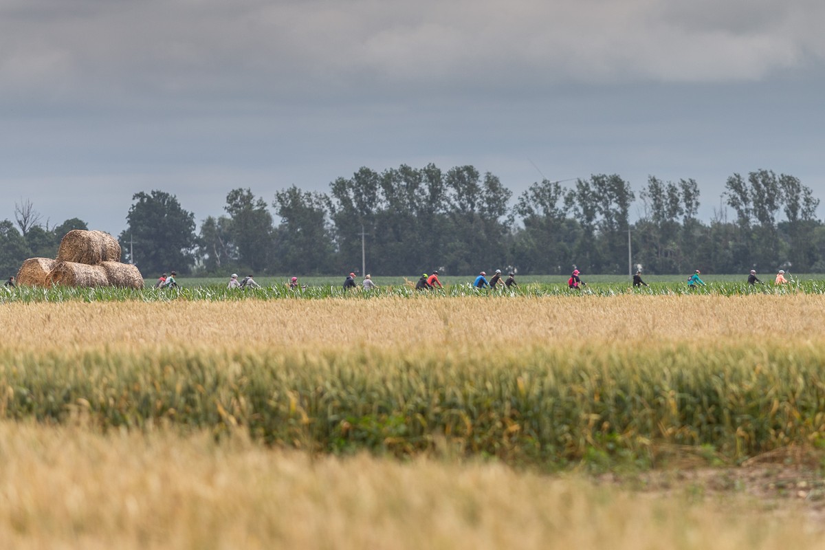 Górzno-Lidzbark Landscape Park, photo by Szymon Zdziebło/tarantoga.pl for UMWKP