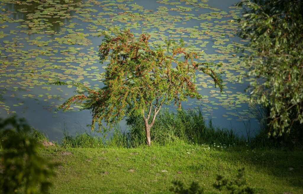 Górzno-Lidzbark Landscape Park, photo by Andrzej Goiński/UMWKP