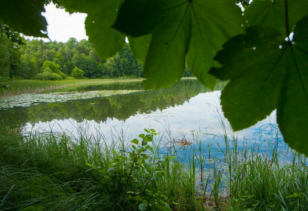 Górzno-Lidzbark Landscape Park, photo by Andrzej Goiński/UMWKP