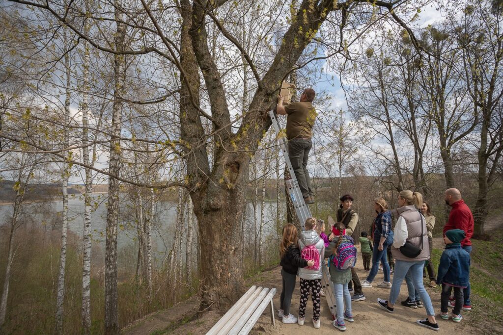 Górzno-Lidzbark Landscape Park, photo by Mikołaj Kuras for UMWKP