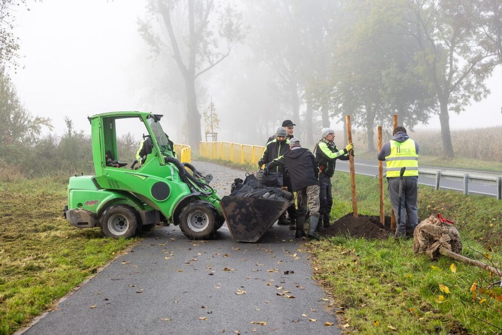 Plantings along Regional Road 266, photo by Szymon Zdziebło / tarantoga.pl for UMWKP