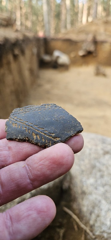 Kurhan z epoki brązu odkryty we Wdeckim Parku Krajobrazowym. Fot. WPK Bronze Age burial mound discovered in the Wda Landscape Park. Photo: WPK