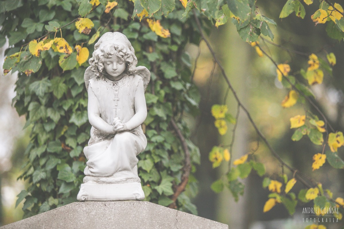 Fot. Andrzej Goiński/UMWKP