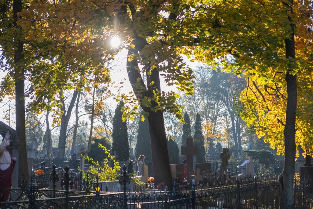 Fundraising at St. George’s Cemetery in Toruń, photo by Mikołaj Kuras for the UMWKP