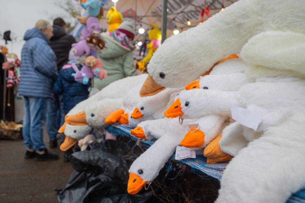 Goose Festival in Przysiek, photo by Mikołaj Kuras for UMWKP