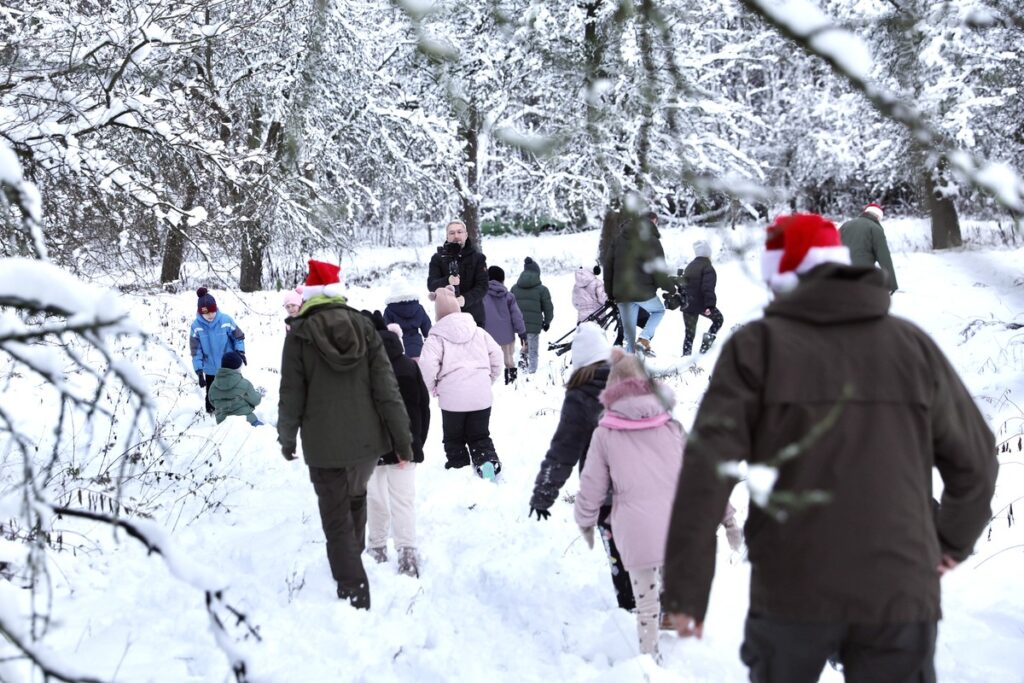 Choosing the Christmas Tree in the Raciniewo Forest District, photo by Andrzej Goiński/Marshal’s Office of the Kujawsko-Pomorskie Region