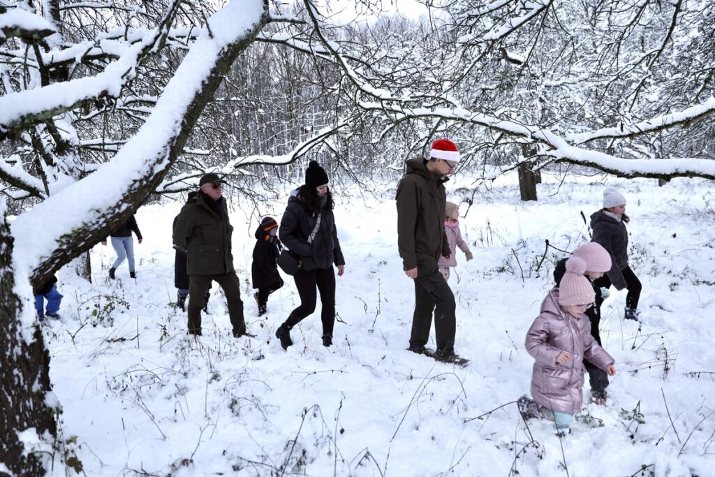 Choosing the Christmas Tree in the Raciniewo Forest District, photo by Andrzej Goiński/Marshal’s Office of the Kujawsko-Pomorskie Region