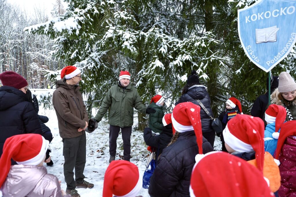 Choosing the Christmas Tree in the Raciniewo Forest District, photo by Andrzej Goiński/Marshal’s Office of the Kujawsko-Pomorskie Region