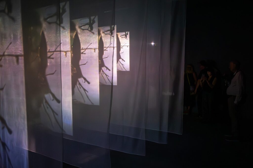 Wystawa Bill Viola: Wizje czasu, fot. Szymon Zdziebło/tarantoga.pl dla UMWKP