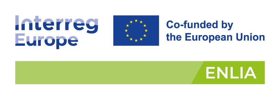 Logotyp Projektu ENLIA