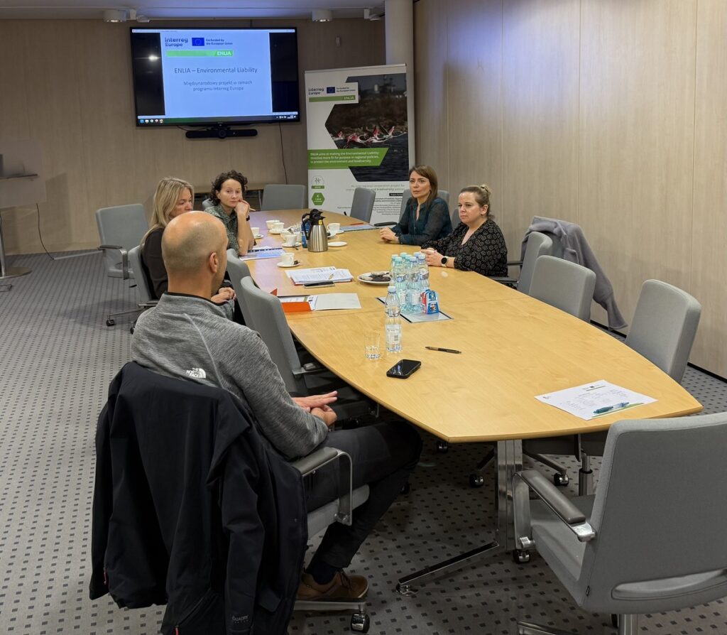 Spotkanie interesariuszy projektu Enlia w Toruniu, fot. A. Mazurek