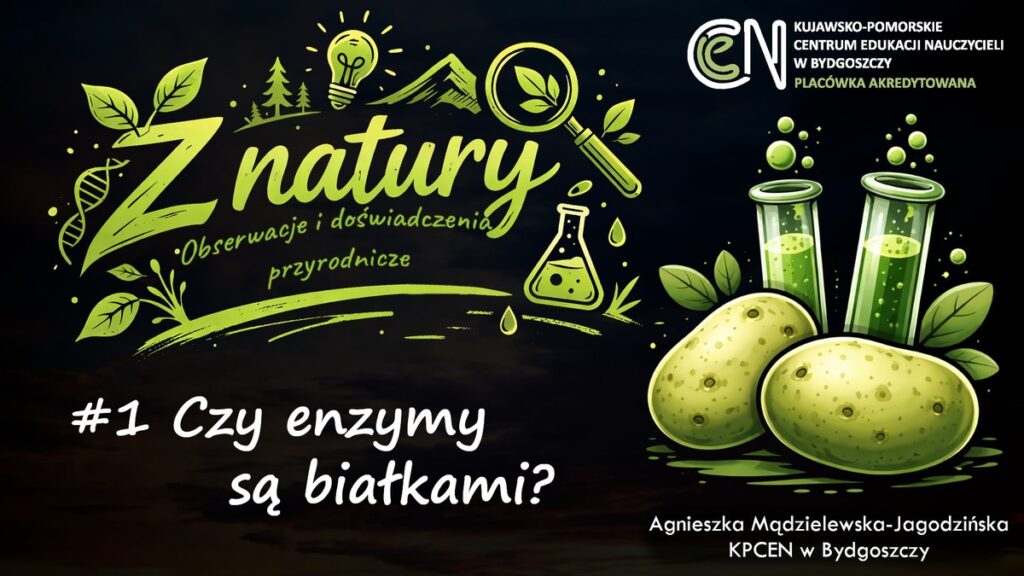 Grafika - audycja "Czy enzymy są białkami?"