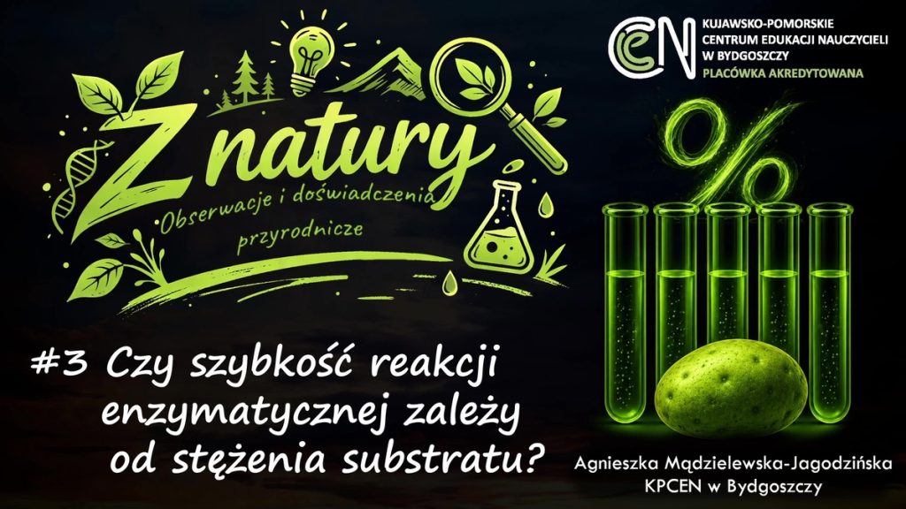 Grafika - Czy szybkość reakcji enzymatycznej zależy od stężenia substratu?