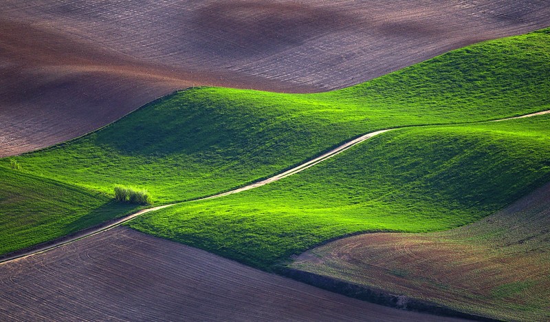 fot. Daniel Pach