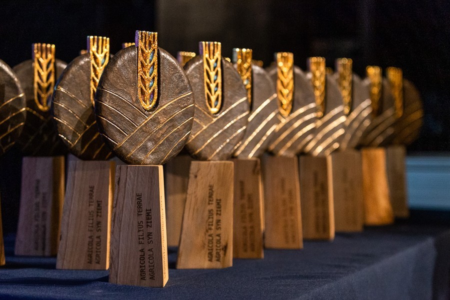 Agricola - statuetka, fot. Szymon Zdziebło/tarantoga.pl dla UMWKP