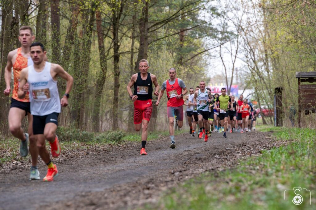 Bronek Run Forest Edition 2026, fot. EDFoto