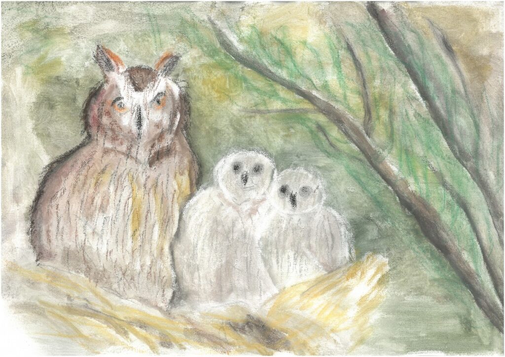 Wyróżnienie w kategorii Szkoła Podstawowa kl. I-III Karol Skrzyński, fot. Marlena Wojciechowska