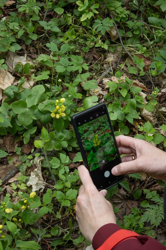 Bioblitz, fot. GLPK