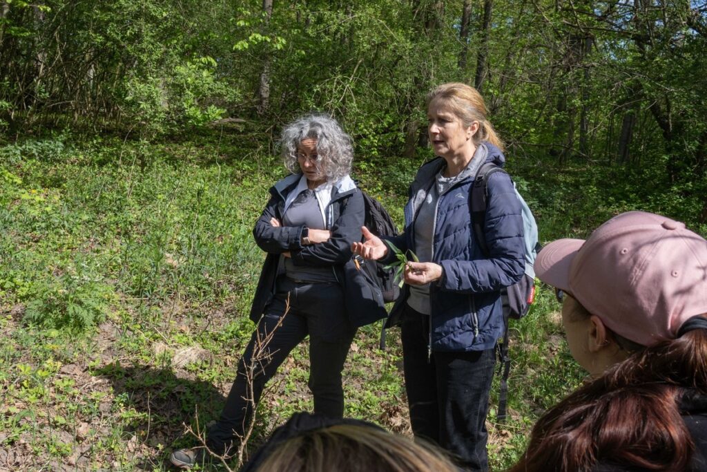 Bioblitz, fot. GLPK