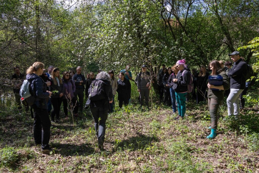 Bioblitz, fot. GLPK