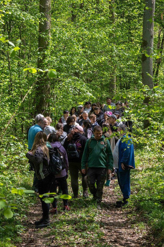 Bioblitz, fot. GLPK