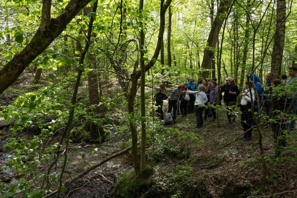 Bioblitz, fot. GLPK