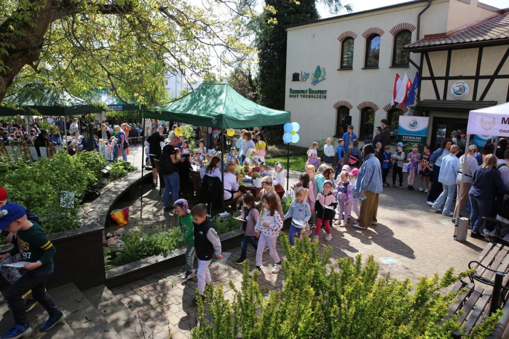 Pszczoły, niezapominajki i przyroda pełna życia