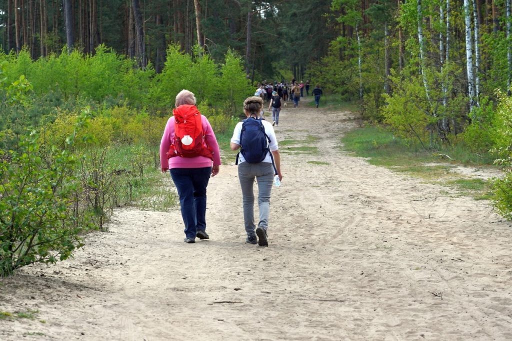 szlak św. Jakuba, źródło: Kujawsko Pomorskie Bractwo św. Jakuba