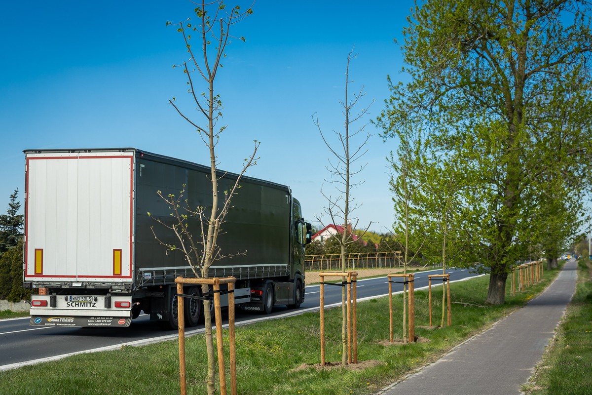 New plantings along road 251, photo by Tomasz Czachorowski/eventphoto for UMWKP