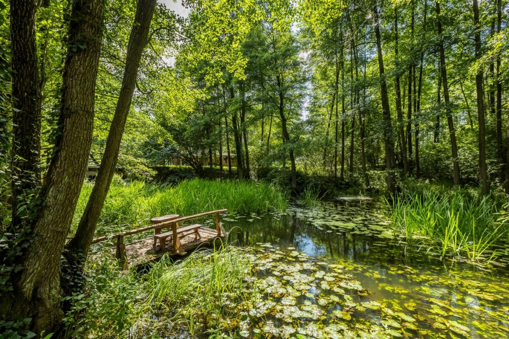 Tucholski Landscape Park, Nadolnik Mill, photo by Tomasz Czachorowski/Eventphoto for UMWKP