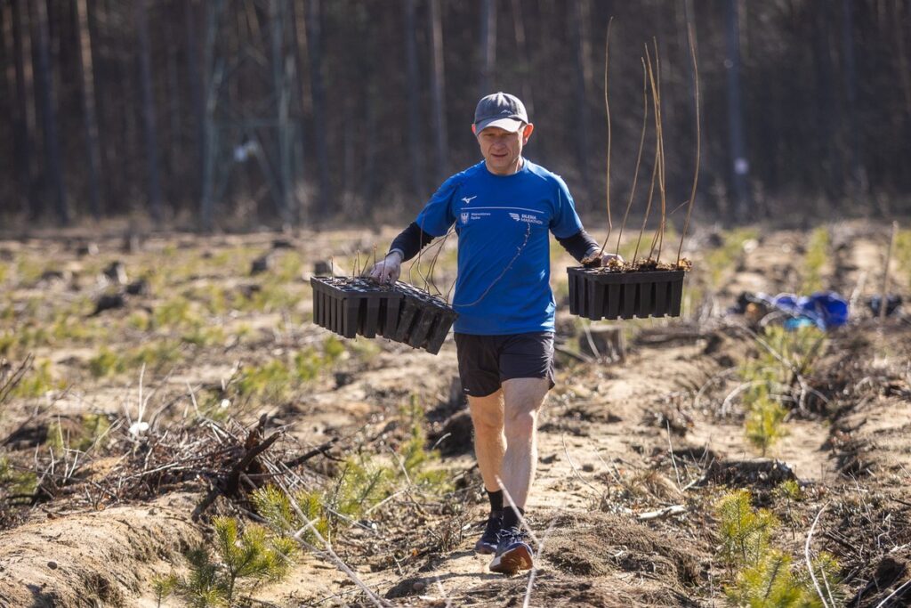 Akcja sadzenia drzew na toruńskiej Barbarce, fot. Szymon Zdziebło/tarantoga.pl dla UMWKP